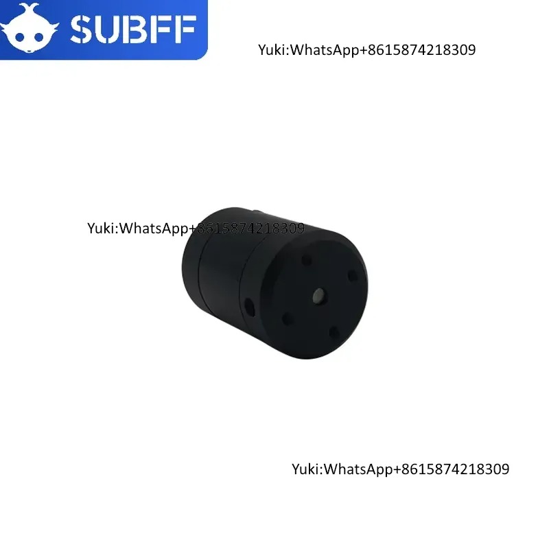 Factory Supply DC Electric Wat - đánh giá và giá Dc Motor 12V